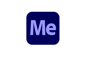 Adobe Media Encoder 2025 v25.3.0.373中文激活版