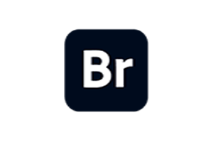 Adobe Bridge 2025 v15.1.0.635 中文激活版