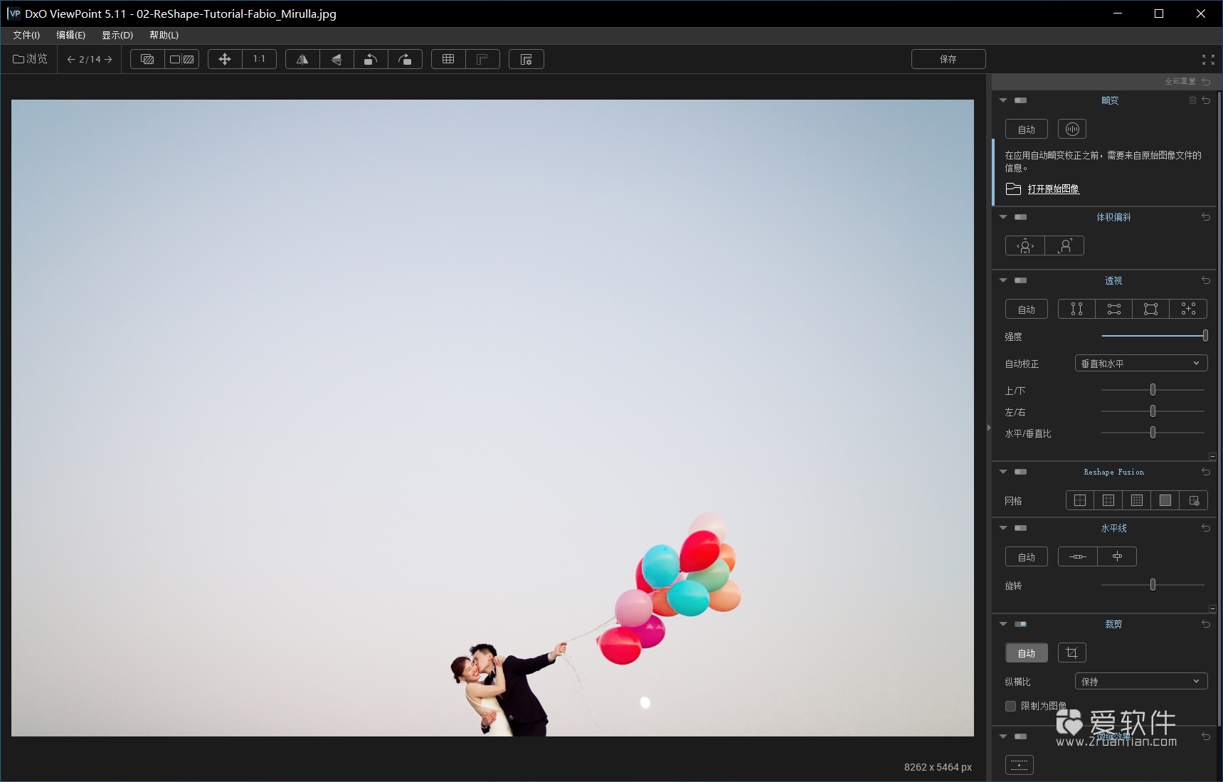 DxO ViewPoint 5.11.0 Build 2 中文特别版插图(1)