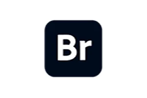 Adobe Bridge 2026 v16.0.3.21 中文一键直装版 -m0nkrus